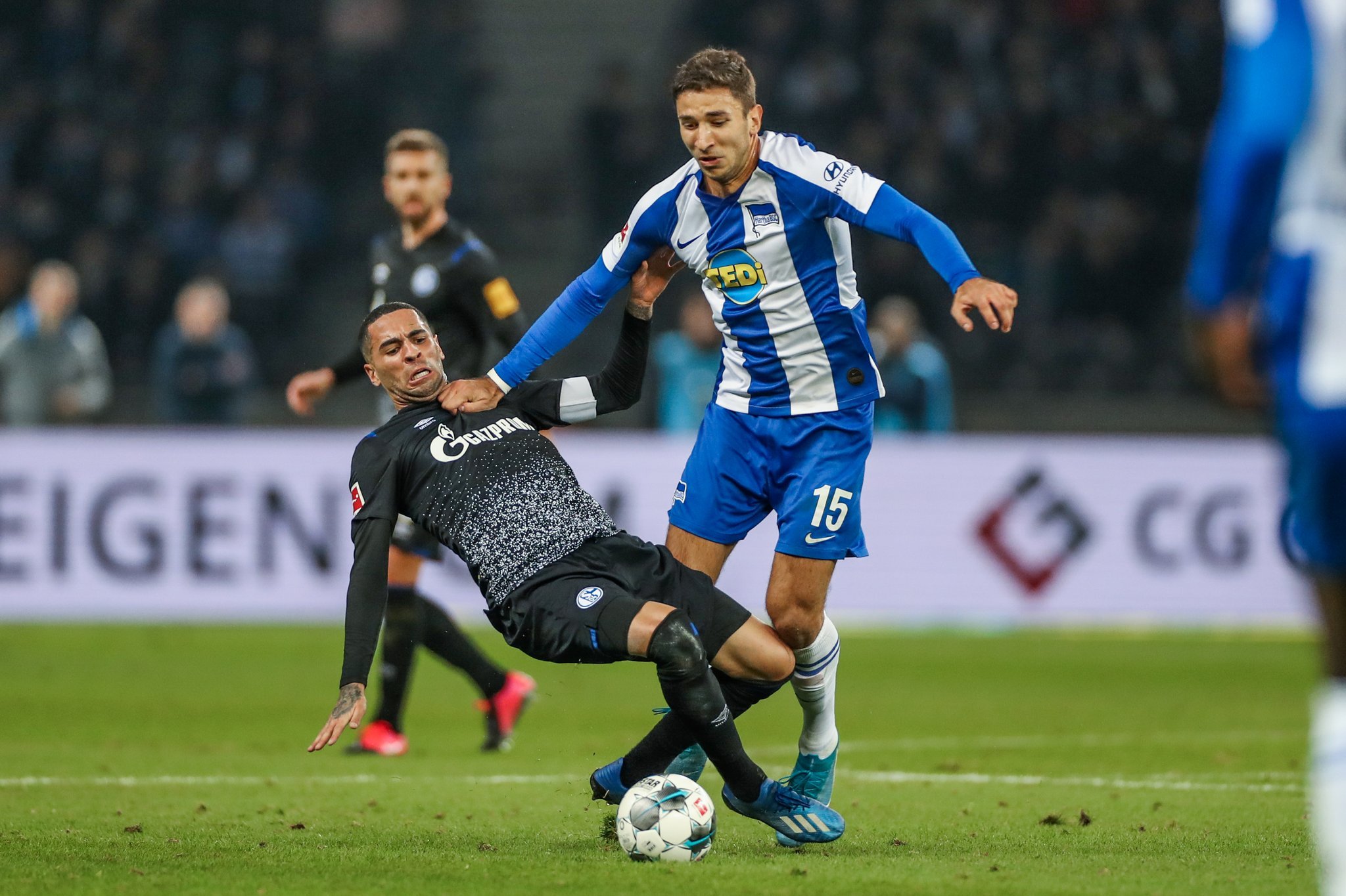 30吨植物油精炼设备