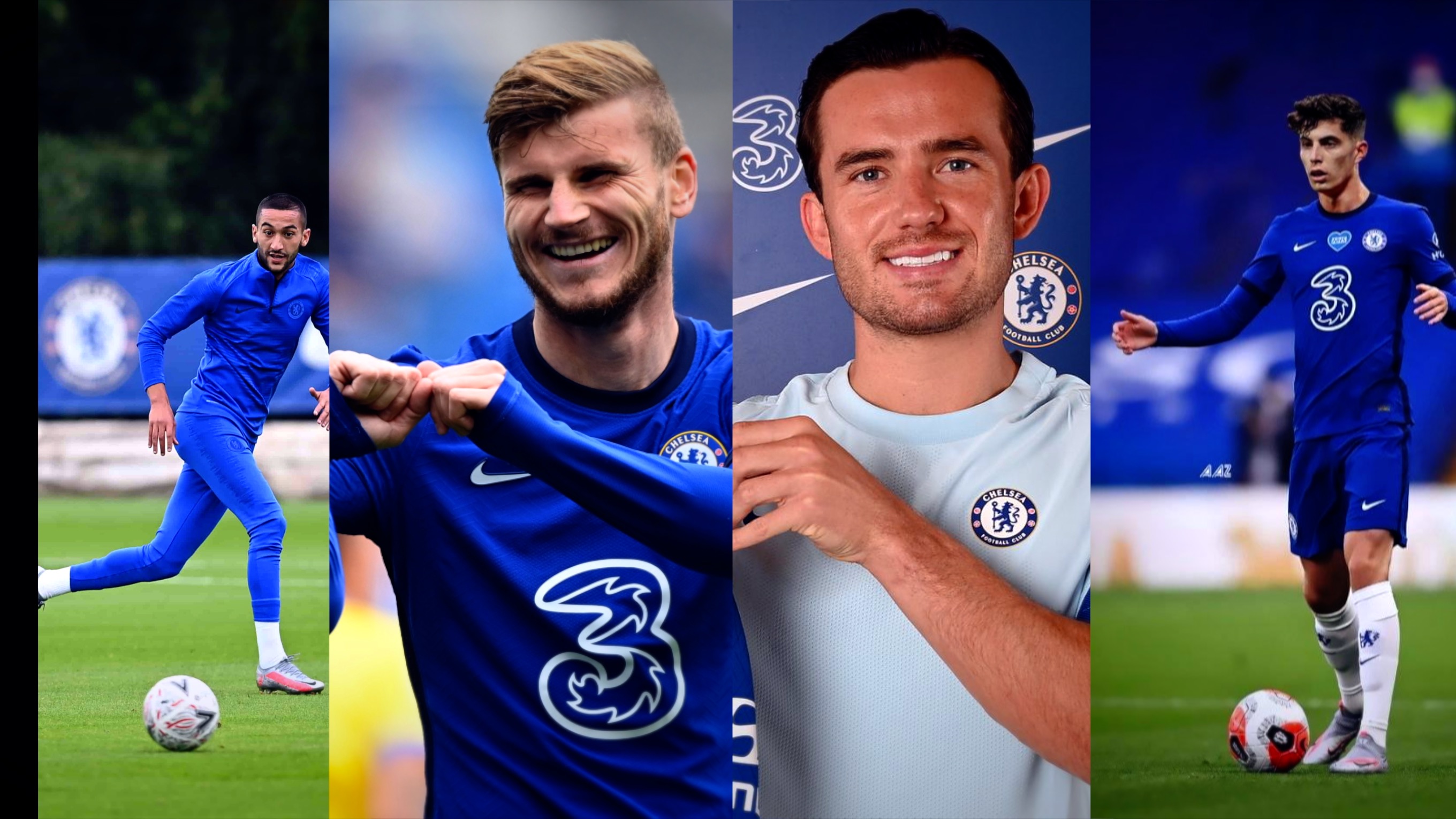 30吨植物油精炼设备